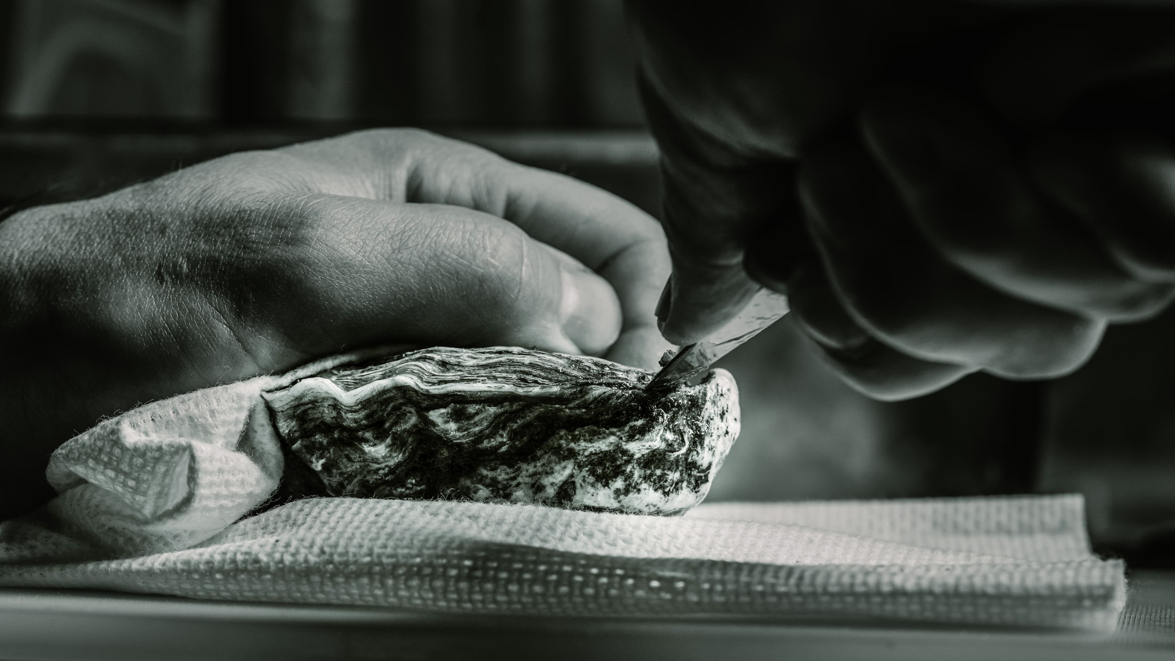 Oyster serving styled for premium seafood menu